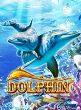 Dolphin OP
